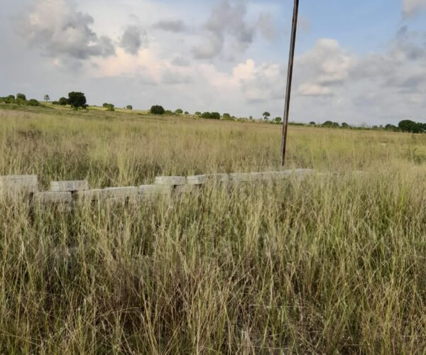 IMG-20230503-WA0028 IMG-20230503-WA0028