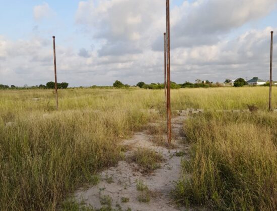 IMG-20230512-WA0013 IMG-20230512-WA0013